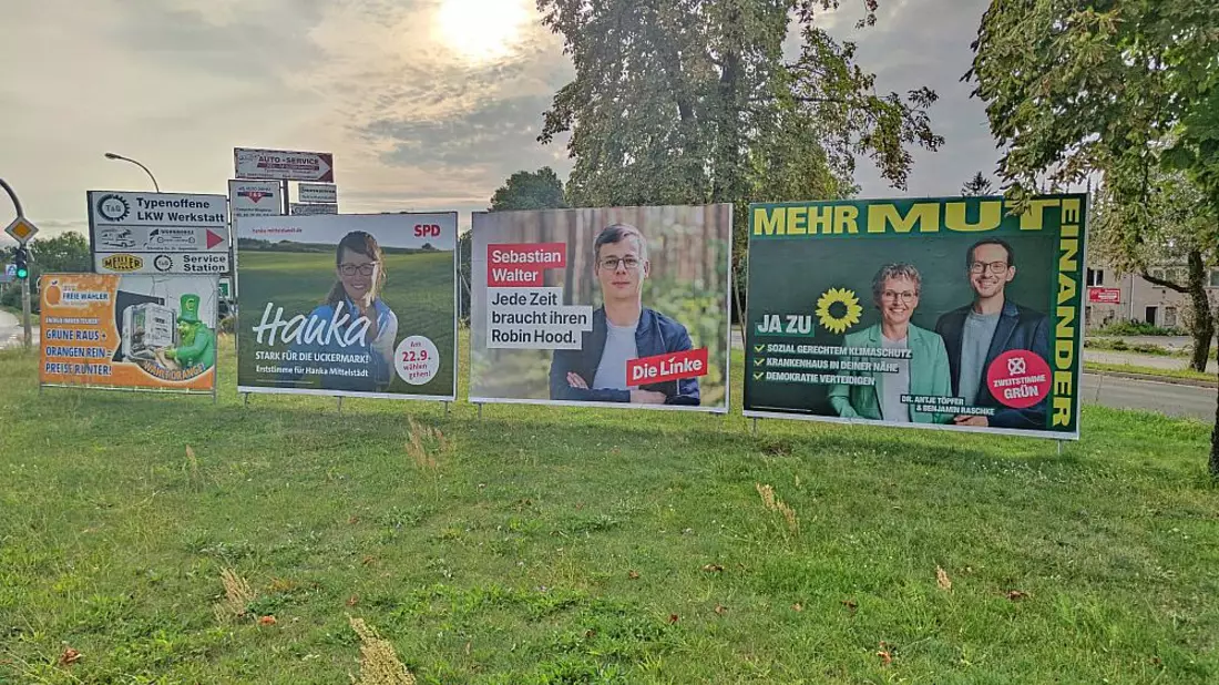 Wahlplakate zur Landtagswahl in Brandenburg (Archiv) - Bild: über dts Nachrichtenagentur