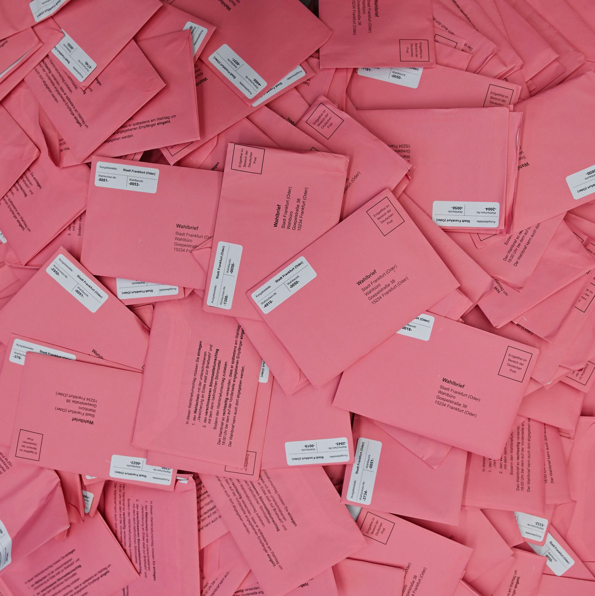 Die Zahl der Briefwählerinnen und Briefwähler bei dieser Landtagswahl ist nach Angaben des Landeswahlleiters von Anfang der Woche voraussichtlich deutlich höher als bei der Wahl vor fünf Jahren. - Foto: Patrick Pleul/dpa