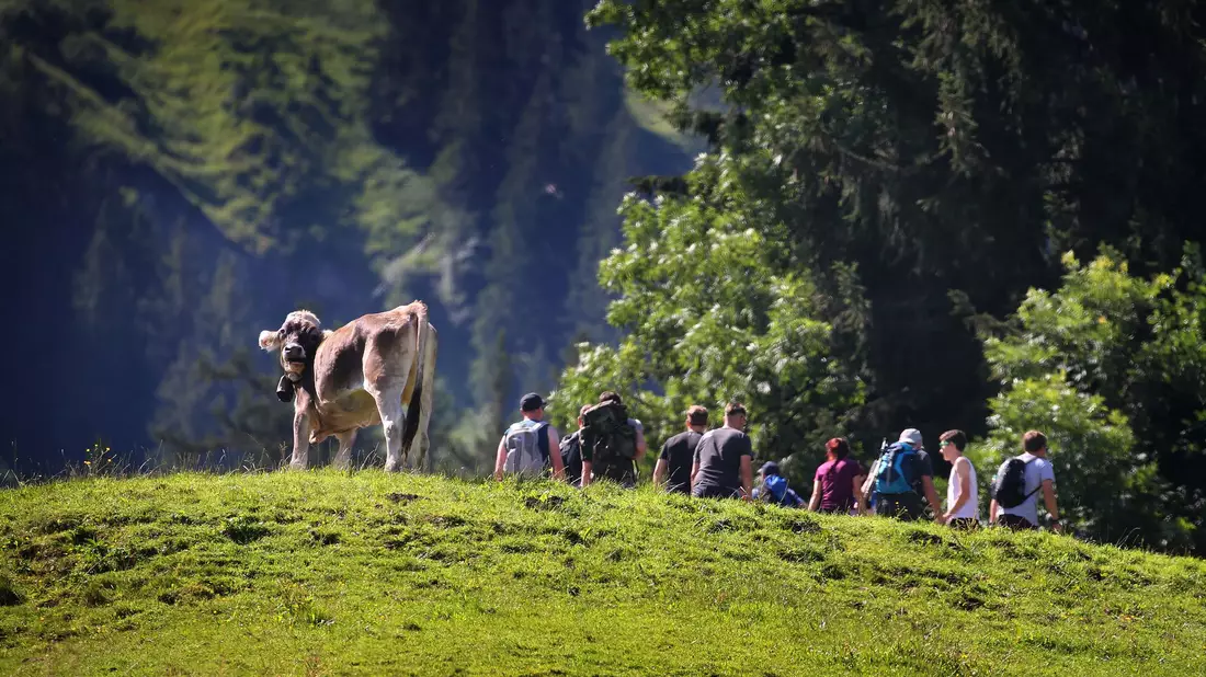 Jeder sechste Inlandstourist aus Deutschland reiste nach Bayern. (Archivbild) - Bild: Karl-Josef Hildenbrand/dpa