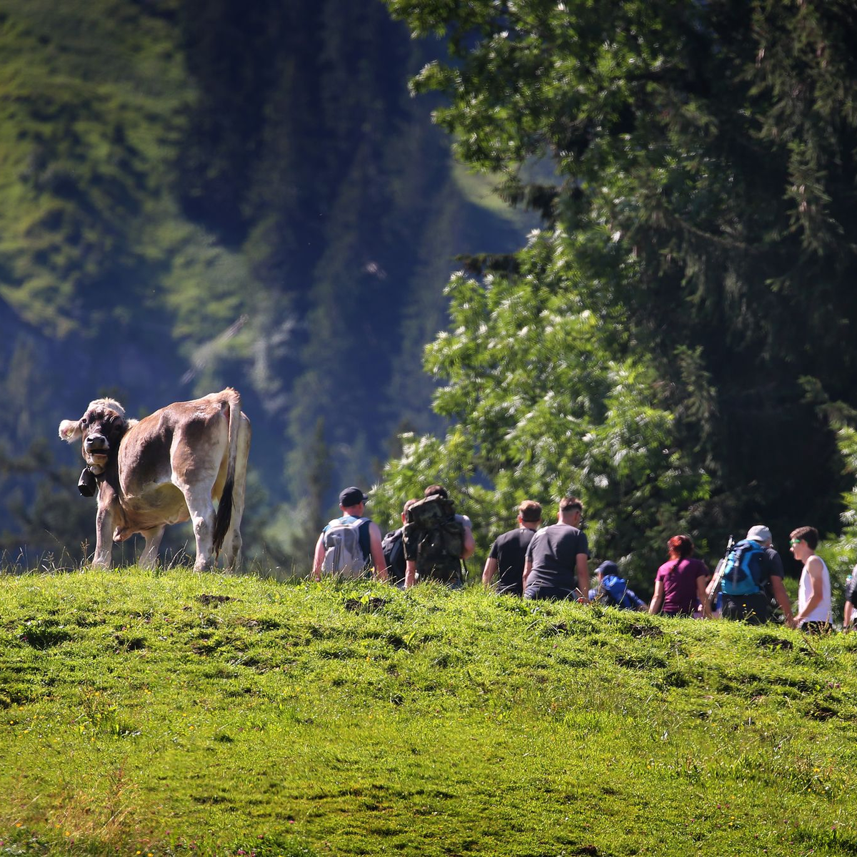 Jeder sechste Inlandstourist aus Deutschland reiste nach Bayern. (Archivbild) - Foto: Karl-Josef Hildenbrand/dpa