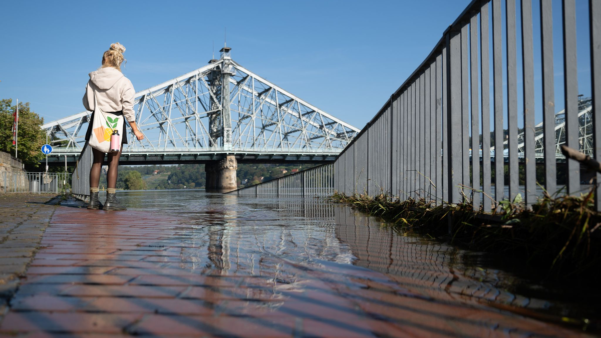 Die Elbe in Sachsen führt seit Wochenbeginn kein Hochwasser mehr. (Archivbild) - Foto: Sebastian Kahnert/dpa
