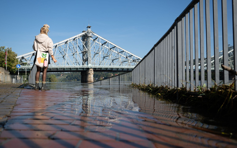 Die Elbe in Sachsen führt seit Wochenbeginn kein Hochwasser mehr. (Archivbild) - Foto: Sebastian Kahnert/dpa