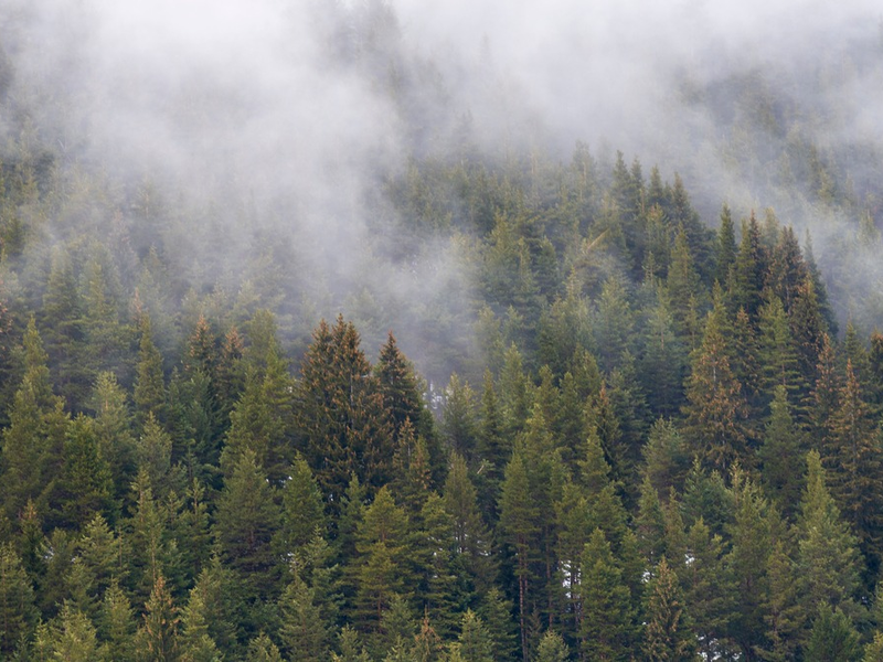 Neuer Nachhaltigkeitsbericht: Lidl setzt sich Net-Zero-Ziel bis 2050 / Lidl in Deutschland veröffentlicht seinen vierten Nachhaltigkeitsbericht und verpflichtet sich zu Net-Zero bis 2050 - Foto: presseportal.de