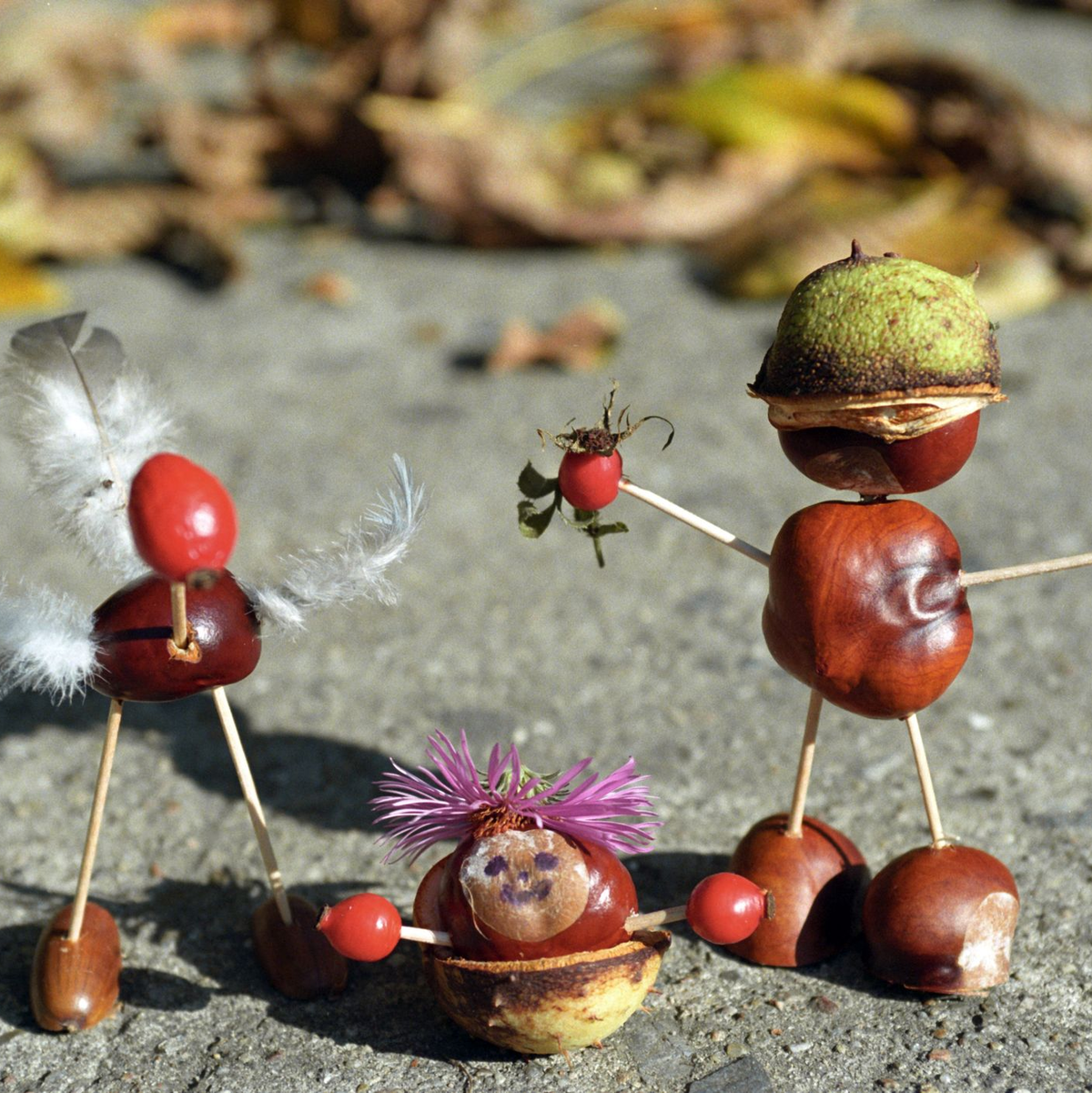 Ein paar Kastanien, Streichhölzer und Federn: Schon sind die Kastanien-Männchen fertig. (Archivbild) - Foto: Jens Kalaene/dpa-Zentralbild/dpa