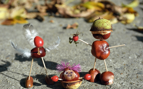 Ein paar Kastanien, Streichhölzer und Federn: Schon sind die Kastanien-Männchen fertig. (Archivbild) - Foto: Jens Kalaene/dpa-Zentralbild/dpa