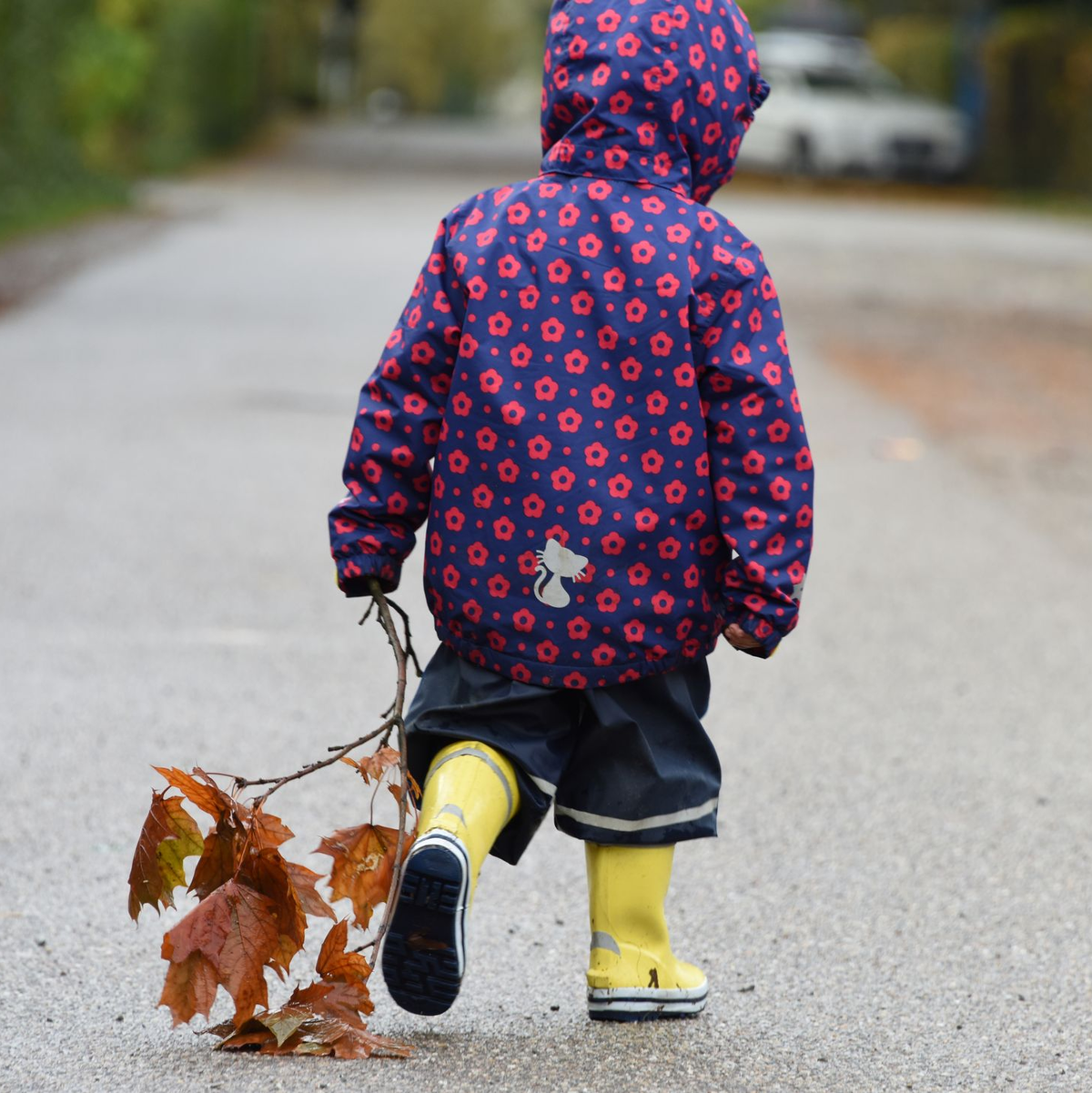 Gut ausgerüstet machen Spaziergänge im Herbstwetter Spaß. (Archivbild) - Foto: picture alliance / dpa