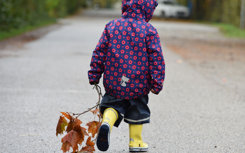 Gut ausgerüstet machen Spaziergänge im Herbstwetter Spaß. (Archivbild) - Foto: picture alliance / dpa
