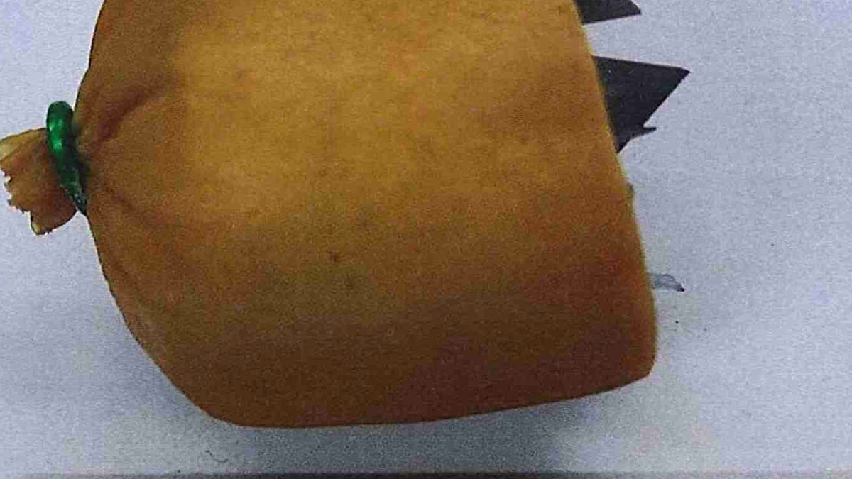 POL-SO: Präparierter Hundeköder ausgelegt - Foto: presseportal.de