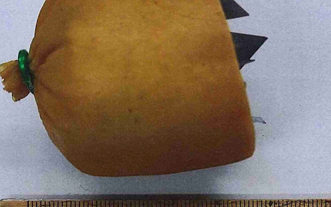 POL-SO: Präparierter Hundeköder ausgelegt - Foto: presseportal.de