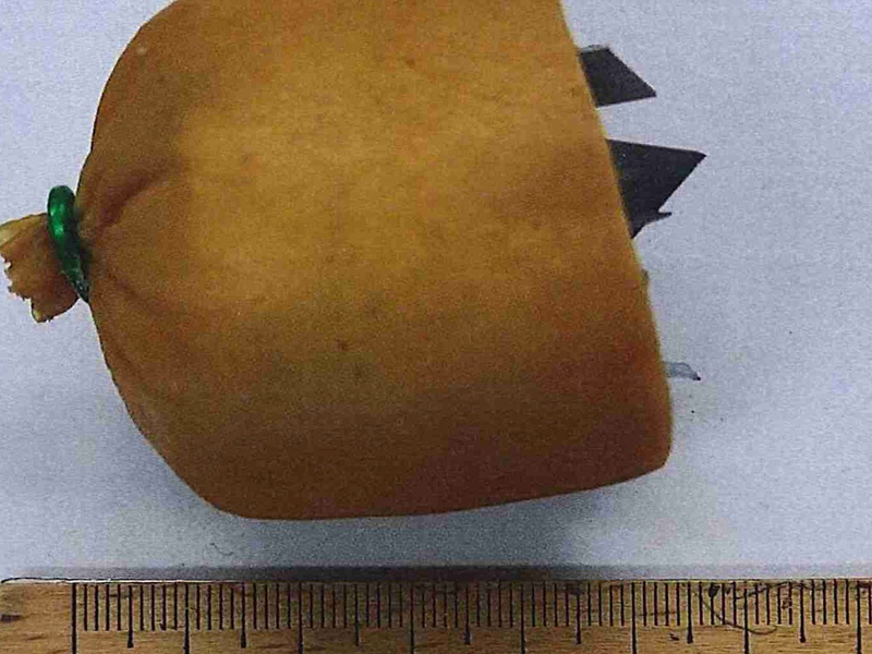 POL-SO: Präparierter Hundeköder ausgelegt - Foto: presseportal.de