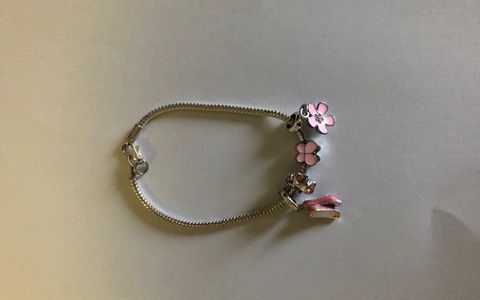 POL-OS: Osnabrück: Polizei sucht Besitzer eines Pandora-Armbands - Foto: presseportal.de