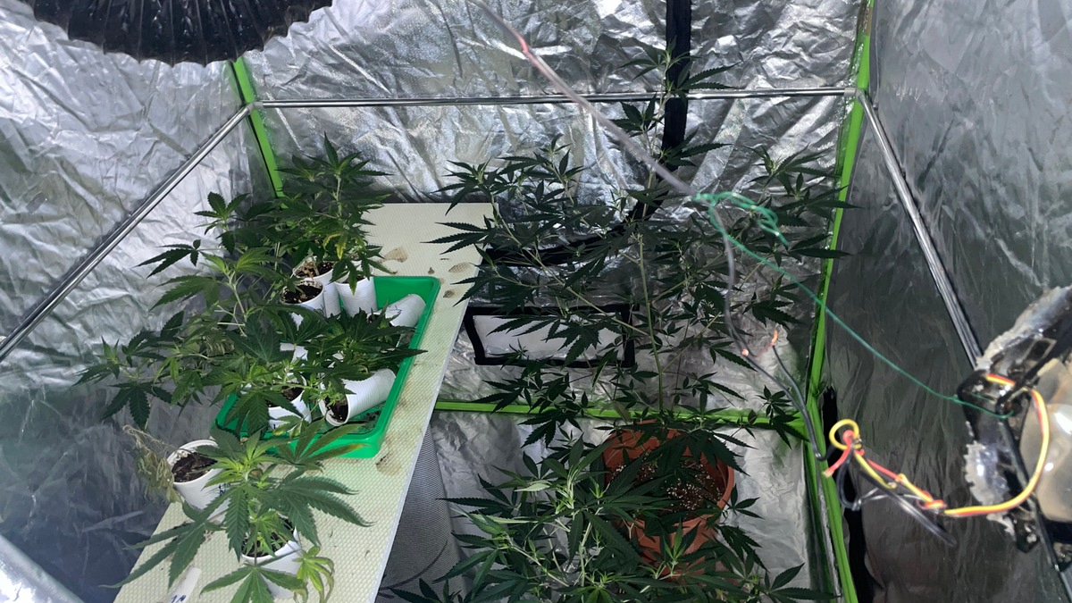 POL-STD: Polizei stellt 40 Marihuanapflanzen und Zuchtzubehör sicher, Unbekannte entwenden Kabel aus Stader Rohbau - Foto: presseportal.de