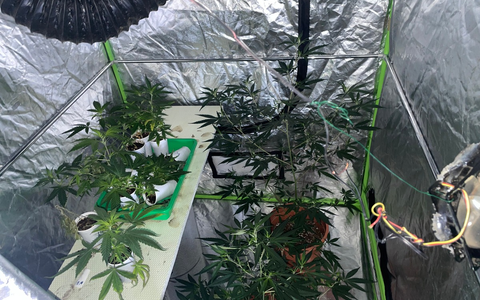 POL-STD: Polizei stellt 40 Marihuanapflanzen und Zuchtzubehör sicher, Unbekannte entwenden Kabel aus Stader Rohbau - Foto: presseportal.de
