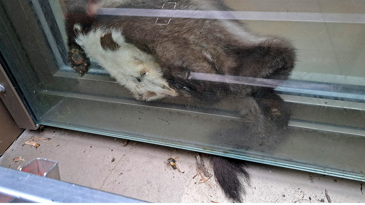 FW-M: Spielplatz schlecht gewählt (Au-Haidhausen) - Foto: presseportal.de