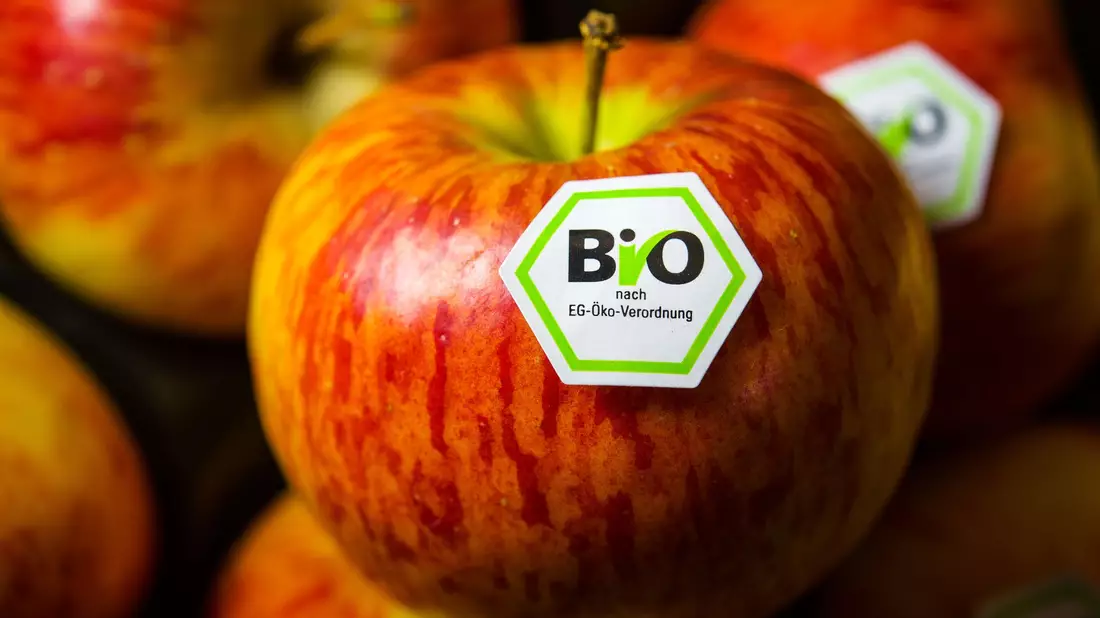 Bis 2030 sollen eigentlich mindestens 25 Prozenz der landwirtschaftlichen Flächen in der EU ökologisch bewirtschaftet werden. (Archivbild)  - Bild: David-Wolfgang Ebener/dpa