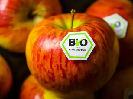 Bis 2030 sollen eigentlich mindestens 25 Prozenz der landwirtschaftlichen Flächen in der EU ökologisch bewirtschaftet werden. (Archivbild)  - Foto: David-Wolfgang Ebener/dpa