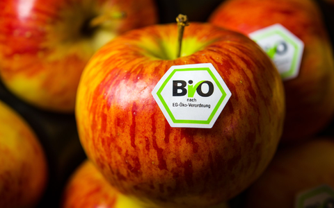 Bis 2030 sollen eigentlich mindestens 25 Prozenz der landwirtschaftlichen Flächen in der EU ökologisch bewirtschaftet werden. (Archivbild)  - Foto: David-Wolfgang Ebener/dpa