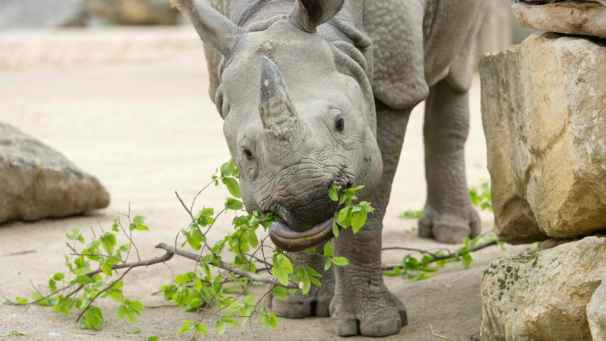 Verantwortung für das Tierwohl / Gemeinsame Position der Tierhalter zur Novellierung des Tierschutzgesetzes - Foto: presseportal.de