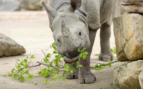 Verantwortung für das Tierwohl / Gemeinsame Position der Tierhalter zur Novellierung des Tierschutzgesetzes - Foto: presseportal.de Verantwortung für das Tierwohl / Gemeinsame Position der Tierhalter zur Novellierung des Tierschutzgesetzes - Foto: presseportal.de