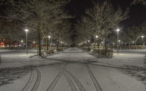  - Foto: pixabay.com © Grizzlybear-se