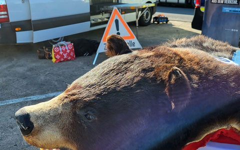 HZA-BS: Der Zoll präsentiert sich beim 2. Blaulichttag des PS.SPEICHER in Einbeck - Foto: presseportal.de HZA-BS: Der Zoll präsentiert sich beim 2. Blaulichttag des PS.SPEICHER in Einbeck - Foto: presseportal.de