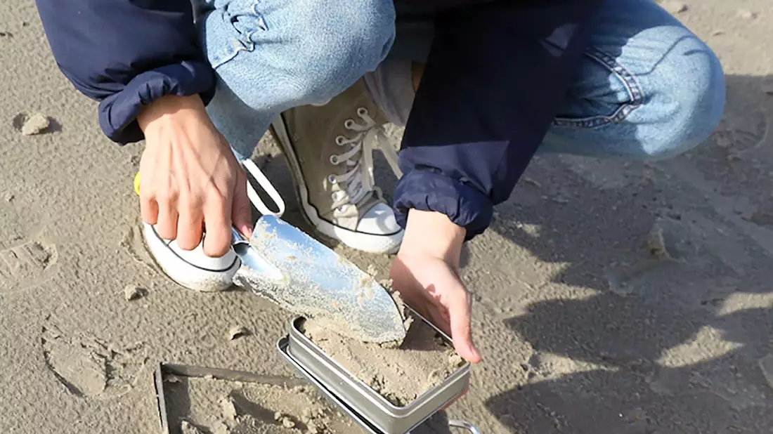 Beim Projekt «Mikroplastikdetektive» haben Bürgerinnen und Bürger Proben von Sandstränden genommen. Forschende des Bremerhavener Alfred-Wegener-Instituts (AWI) untersuchten diese auf Mikroplastik.  - Bild: -/Alfred-Wegener-Institut/dpa