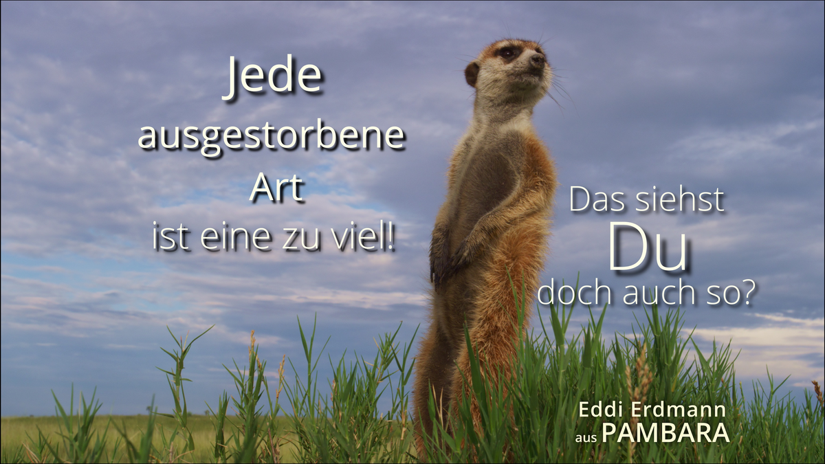  - Foto: Maleika Film GmbH über pressetext.de