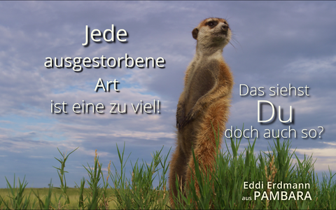  - Foto: Maleika Film GmbH über pressetext.de