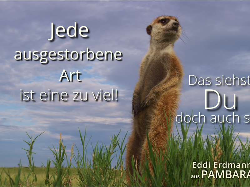  - Foto: Maleika Film GmbH über pressetext.de