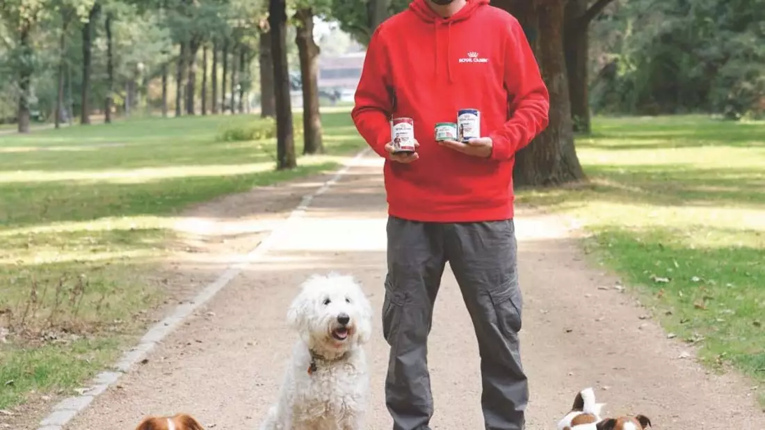 Von XS bis L: Jeder Hund is(s)t einzigartig - Bild: presseportal.de
