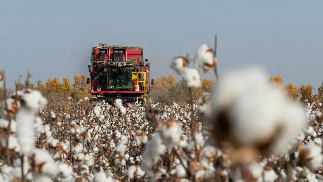 China wirft PVH vor, Baumwolle und andere Produkte aus Xinjiang gemieden zu haben. (Symbolbild) - Bild: Ma Kai/XinHua/dpa