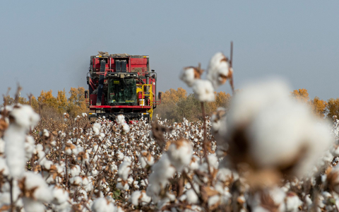 China wirft PVH vor, Baumwolle und andere Produkte aus Xinjiang gemieden zu haben. (Symbolbild) - Foto: Ma Kai/XinHua/dpa