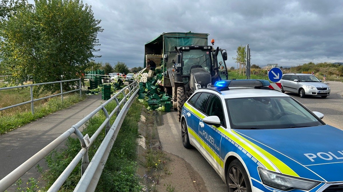 POL-PDLU: Da haben wir den Salat... - Foto: presseportal.de