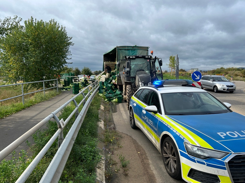 POL-PDLU: Da haben wir den Salat... - Foto: presseportal.de