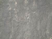 Eine 22 Meter lange reliefartige Geoglyphe, die nach Forscherangaben einen Wal darstellt, wurde im Süden Perus entdeckt. - Foto: Masato Sakai/dpa