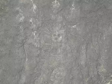Eine 22 Meter lange reliefartige Geoglyphe, die nach Forscherangaben einen Wal darstellt, wurde im Süden Perus entdeckt. - Foto: Masato Sakai/dpa