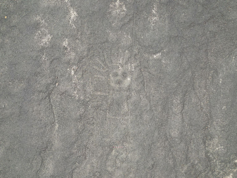 Eine 22 Meter lange reliefartige Geoglyphe, die nach Forscherangaben einen Wal darstellt, wurde im Süden Perus entdeckt. - Foto: Masato Sakai/dpa