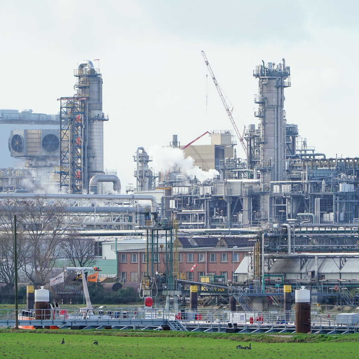 Der Chemiekonzern BASF zählt zu den wichtigsten Arbeitgebern in Rheinland-Pfalz. Der Sparkurs des Ludwigshafener Konzerns mit Stellenabbau und der Schließung von Anlagen bereitet dem Land Sorgen. (Archivbild) - Foto: Uwe Anspach/dpa