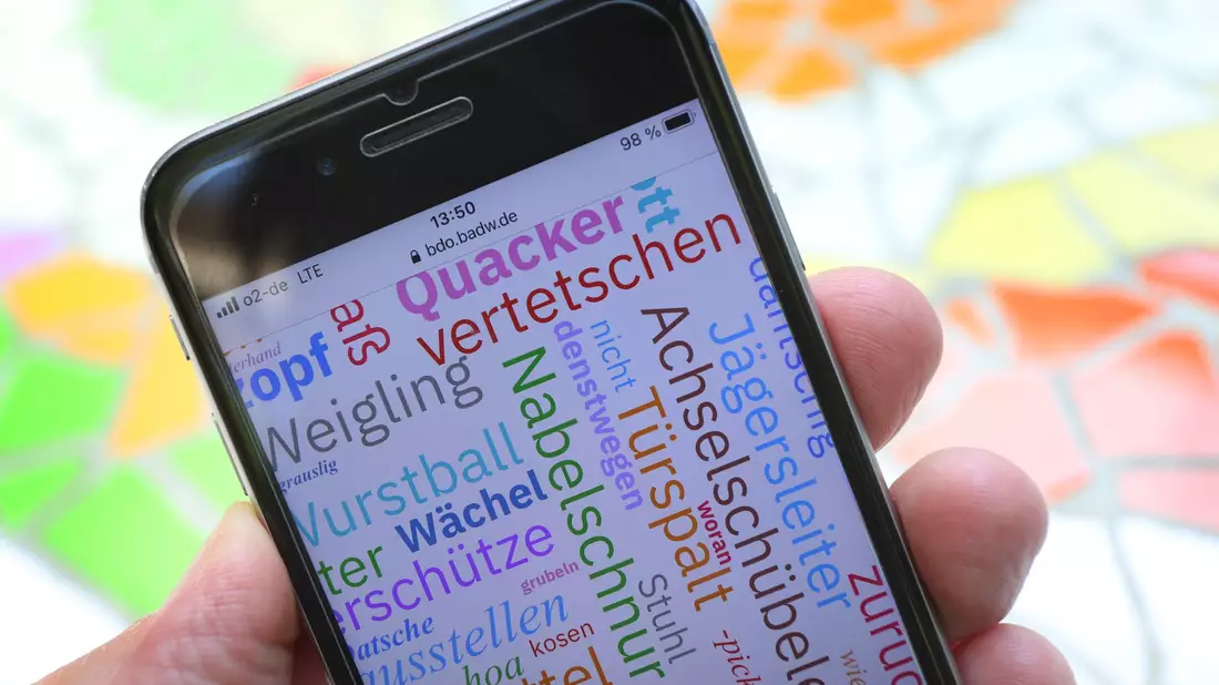 Dialekte sind Expertenangaben nach in Deutschland noch weit verbreitet. - Bild: Karl-Josef Hildenbrand/dpa