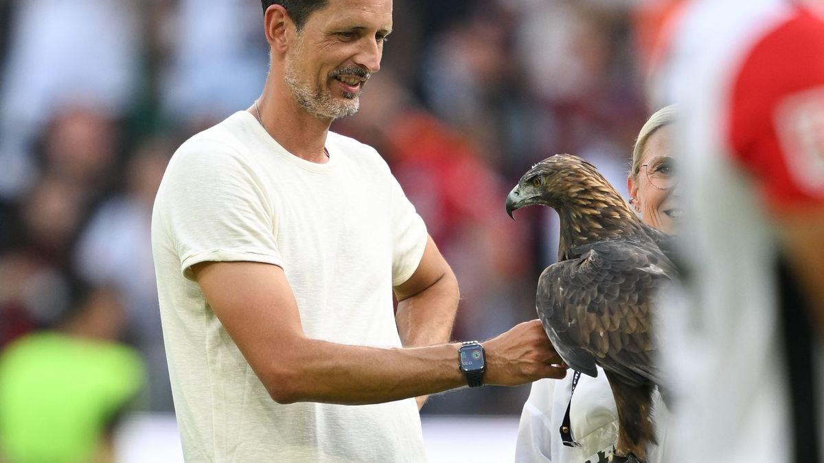 Toppmöller befürwortet den neuen Modus in der Europa League. - Foto: Arne Dedert/dpa