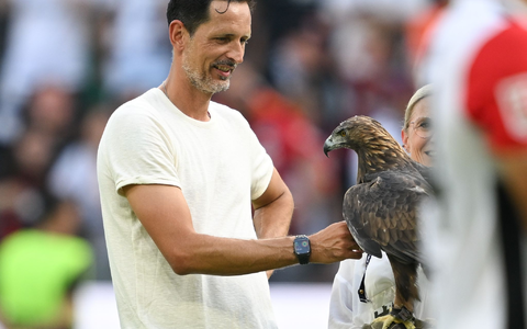 Toppmöller befürwortet den neuen Modus in der Europa League. - Foto: Arne Dedert/dpa