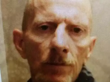 POL-HL: Lübeck - Hamburg / Polizei bittet um Mithilfe bei Suche nach vermisster Person - Foto: presseportal.de