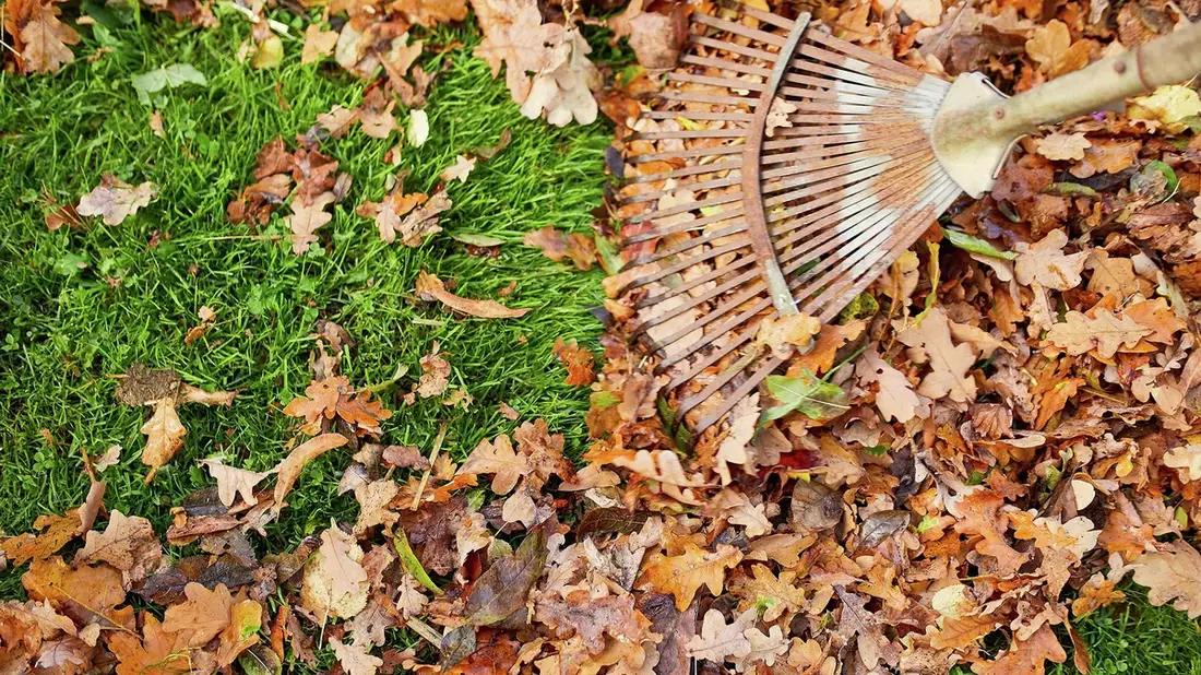 Die Nützlinge von morgen: Artenvielfalt auch im Winter fördern - Bild: presseportal.de