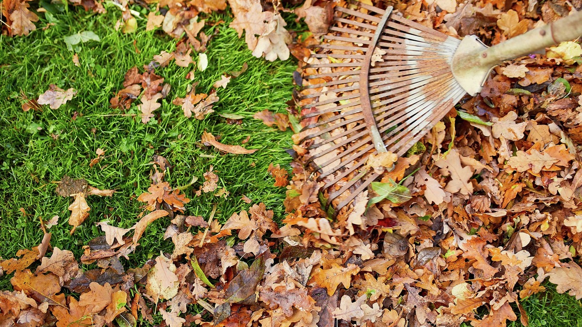 Die Nützlinge von morgen: Artenvielfalt auch im Winter fördern - Foto: presseportal.de