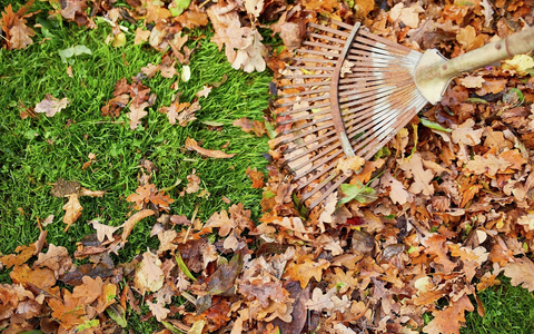 Die Nützlinge von morgen: Artenvielfalt auch im Winter fördern - Foto: presseportal.de
