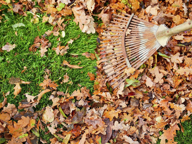 Die Nützlinge von morgen: Artenvielfalt auch im Winter fördern - Foto: presseportal.de