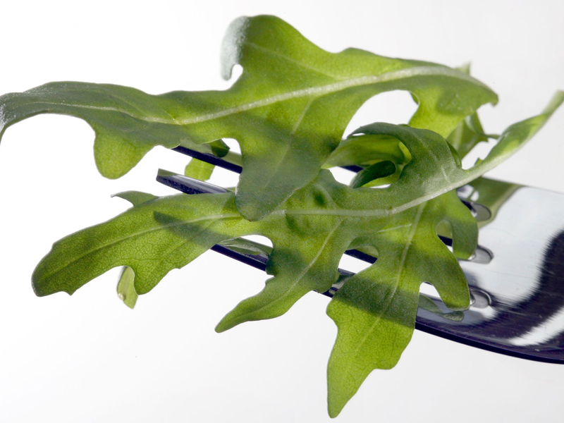 In Österreich wurde das Bakterium Salmonella Umbilo in Proben von Rucola aus Italien nachgewiesen. (Archivbild) - Foto: picture alliance / dpa