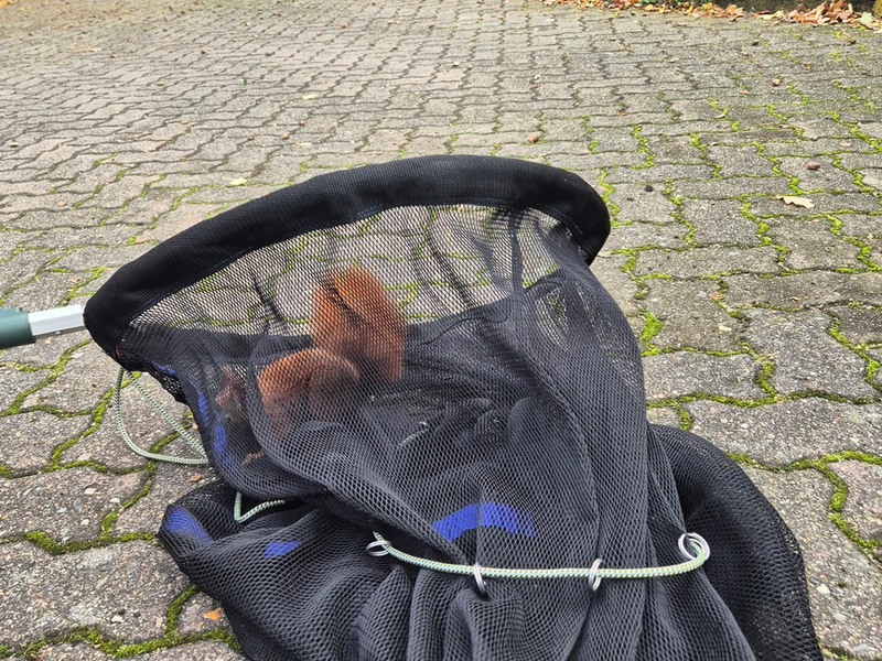 FW Bad Segeberg: Tierische Verfolgungsjagd im Modehaus - weitere Einsätze in den vergangenen Tagen - Foto: presseportal.de