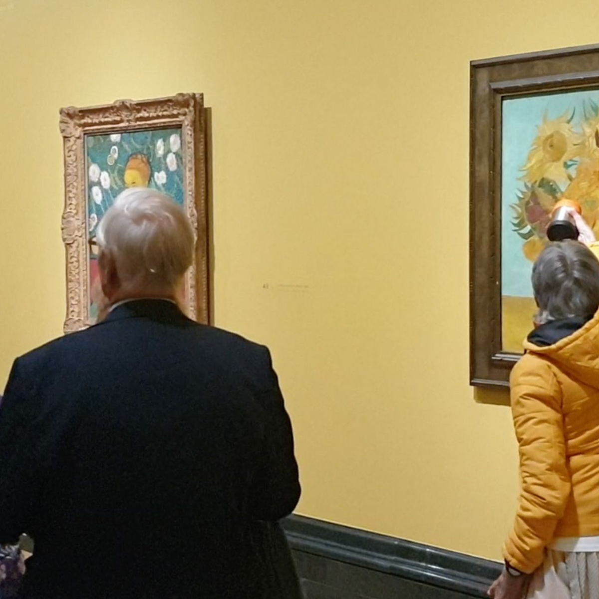 Die neue Attacke ist laut Just Stop Oil ein «Zeichen des Trotzes». - Foto: Jamie Lowe/Just Stop Oil/dpa