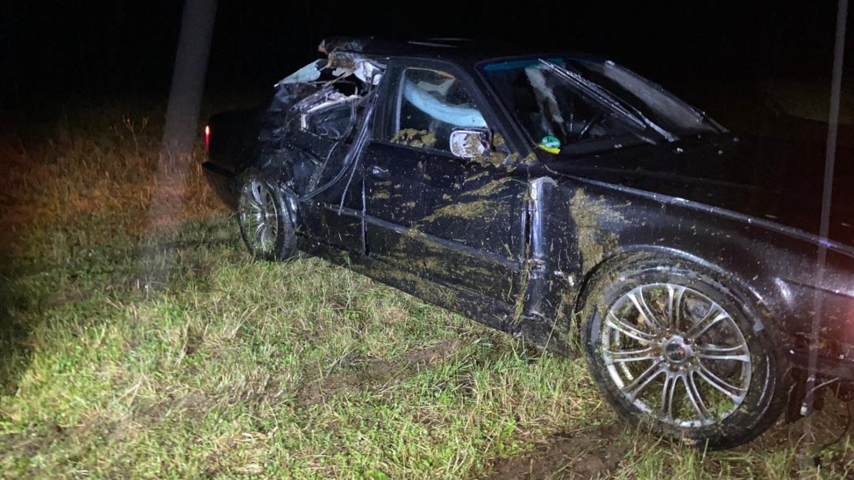 LPI-SLF: Ein tragisches Ende... - Foto: presseportal.de